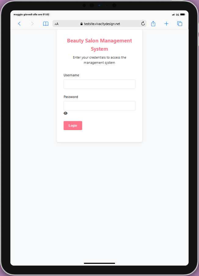 Login Interface